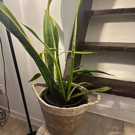 Pi N4 - - Place Parking Republique Inclus & Wifi Apartment