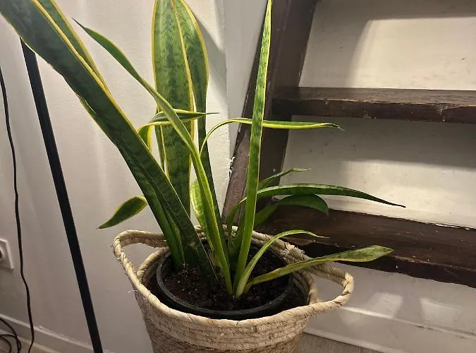 Pi N4 - - Place Parking Republique Inclus & Wifi Apartament